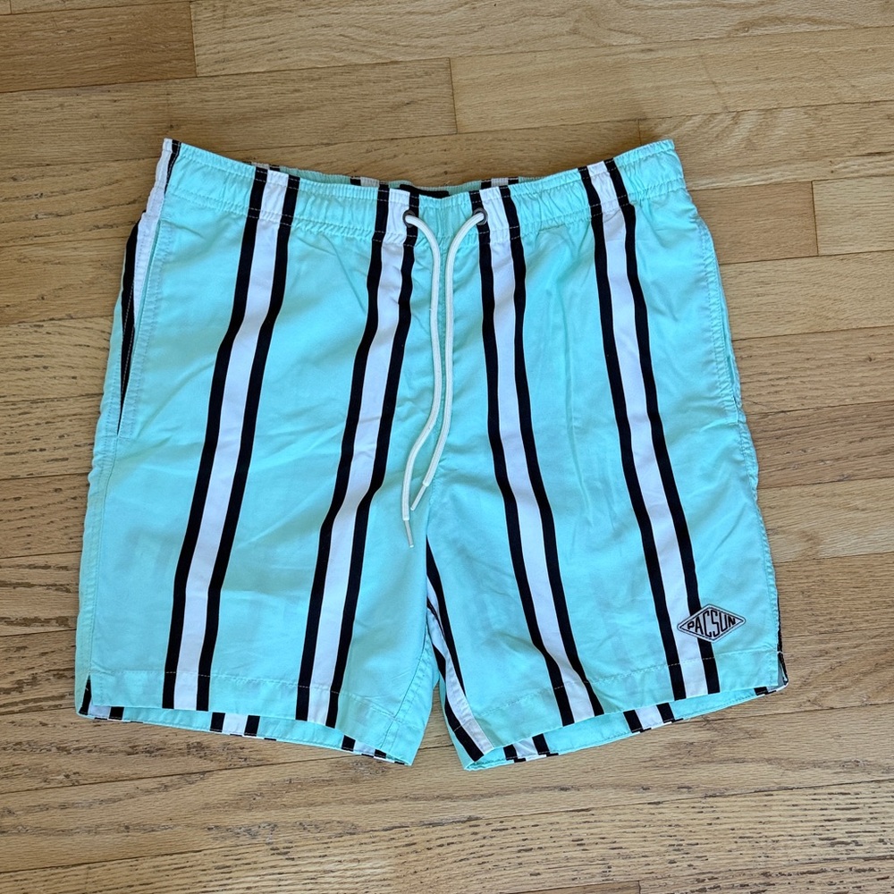 PacSun Mint Striped Swim Trunks